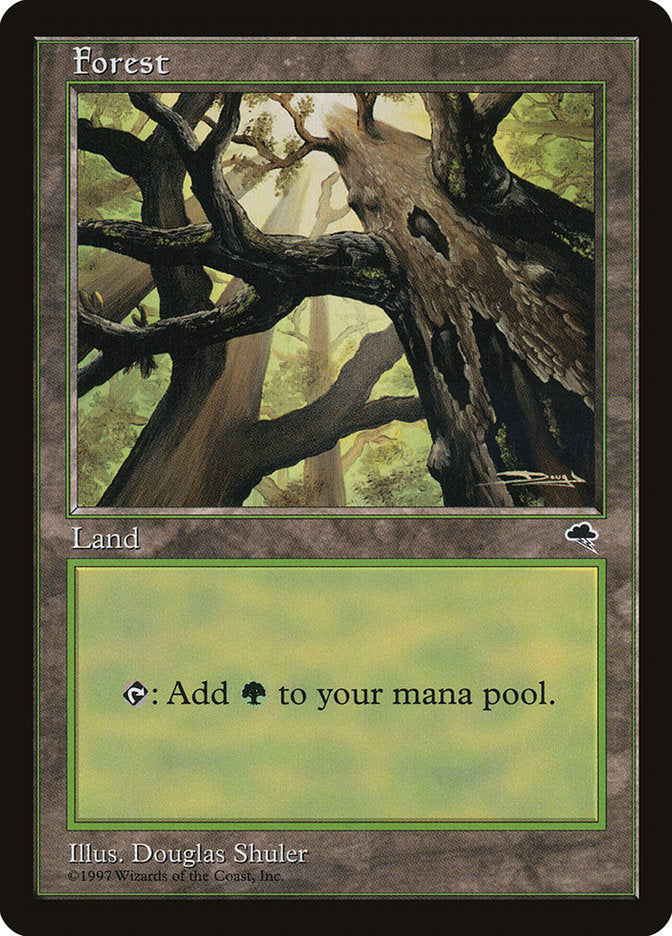 Forest (Looking from Below) [Tempest] | Gamers Paradise