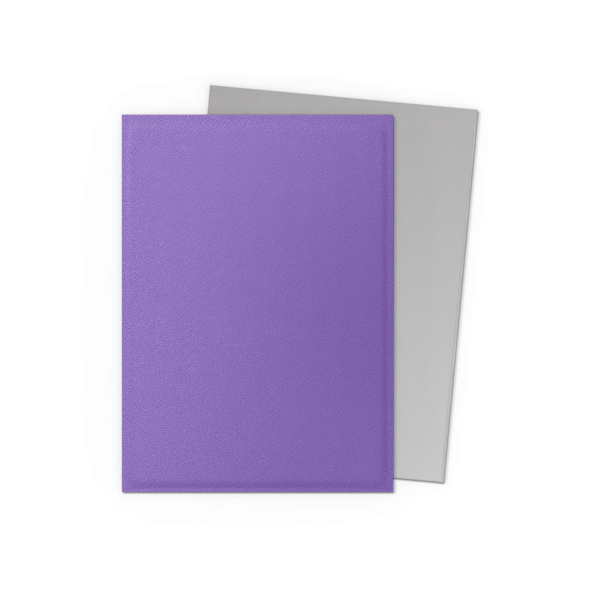 Dragon Shield: Standard 100ct Sleeves - Nebula & Silver (Dual Matte) | Gamers Paradise
