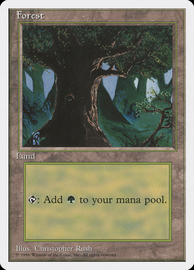 Forest (Creature in Tree Hole) [Introductory Two-Player Set] | Gamers Paradise