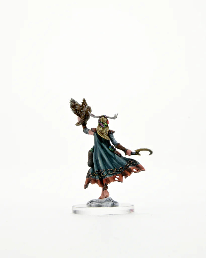 D&D FRAMEWORKS: HUMAN DRUID FEMALE - UNPAINTED AND UNASSEMBLED | Gamers Paradise