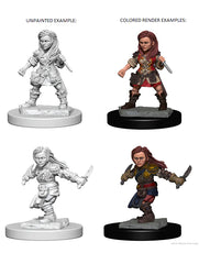 D&D NOLZUR'S MARVELOUS MINIATURES: HALFLING FEMALE ROGUE | Gamers Paradise