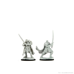 D&D NOLZUR'S MARVELOUS MINIATURES: HALF-ORC PALADIN MALE | Gamers Paradise