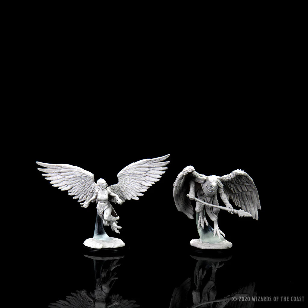 D&D NOLZUR'S MARVELOUS MINIATURES: HARPY & AARAKOCRA | Gamers Paradise