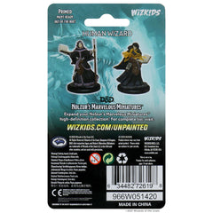 D&D NOLZUR'S MARVELOUS MINIATURES: HUMAN FEMALE WIZARD | Gamers Paradise