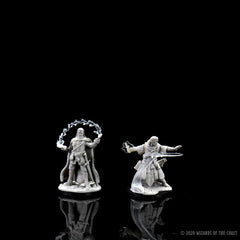 D&D NOLZUR'S MARVELOUS MINIATURES: MALE HUMAN WIZARD | Gamers Paradise