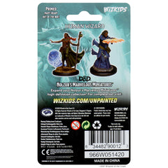 D&D NOLZUR'S MARVELOUS MINIATURES - FEMALE HUMAN WIZARD | Gamers Paradise