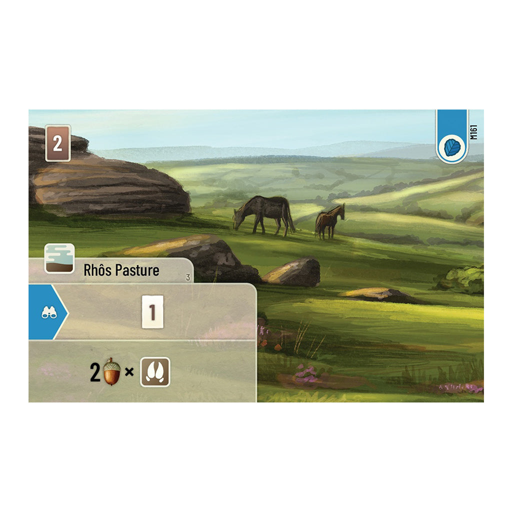 Forest Shuffle: Dartmoor (PREORDER) | Gamers Paradise