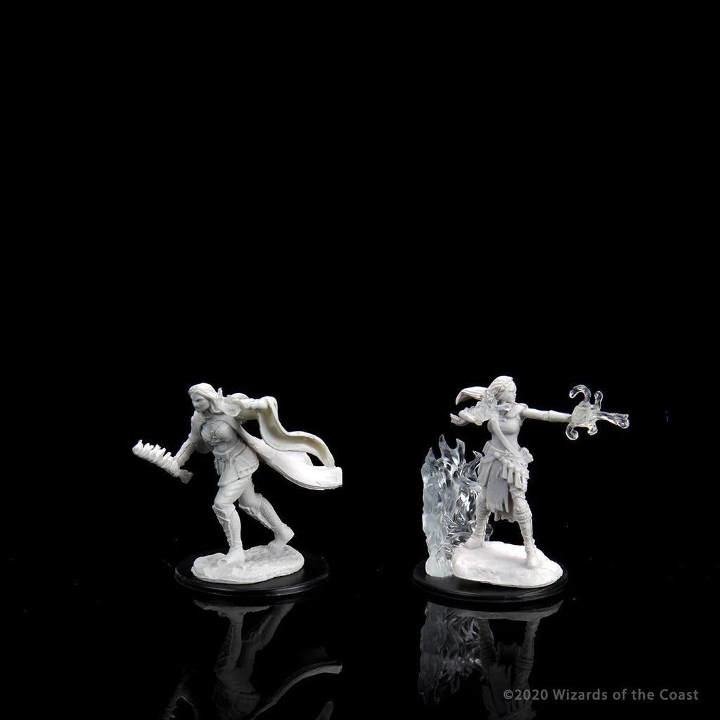 D&D NOLZUR'S MARVELOUS MINIATURES: MULTICLASS WARLOCK + SORCERER FEMALE | Gamers Paradise