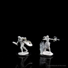 D&D NOLZUR'S MARVELOUS MINIATURES: MULTICLASS WARLOCK + SORCERER FEMALE | Gamers Paradise