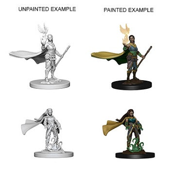 DND UNPAINTED MINIS WV4 ELF FEMALE DRUID | Gamers Paradise