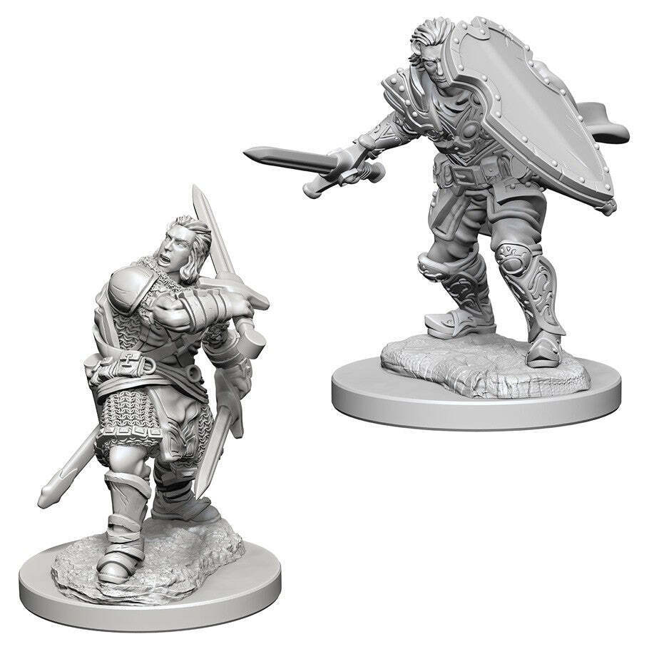 D&D NOLZUR'S MARVELOUS MINIATURES: HUMAN PALADIN MALE | Gamers Paradise