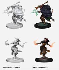 D&D NOLZUR'S MARVELOUS MINIATURES: TIEFLING WARLOCK FEMALE | Gamers Paradise