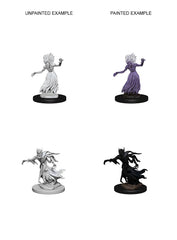 D&D NOLZUR'S MARVELOUS MINIATURES: WRAITH & SPECTER | Gamers Paradise