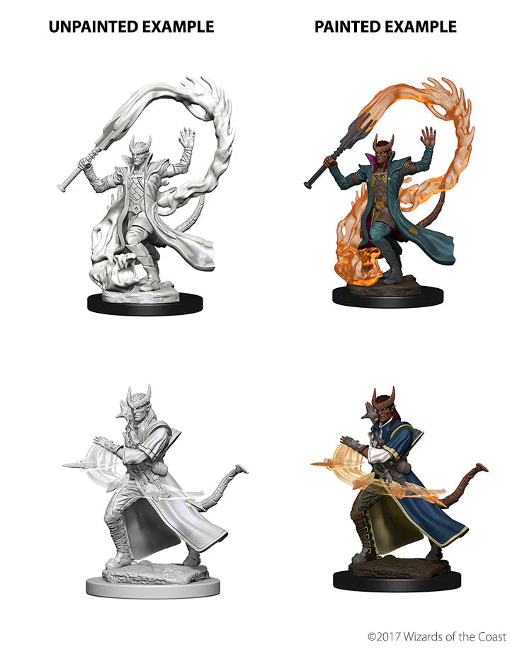 D&D NOLZUR'S MARVELOUS MINIATURES: TIEFLING MALE SORCERER | Gamers Paradise