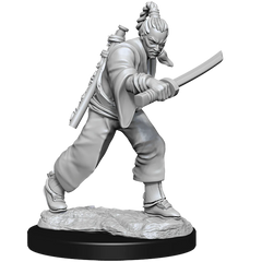 D&D NOLZUR'S MARVELOUS MINIATURES: MALE HUMAN MONK | Gamers Paradise