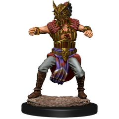 D&D NOLZUR'S MARVELOUS MINIATURES: MALE HUMAN MONK | Gamers Paradise