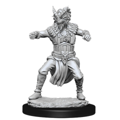 D&D NOLZUR'S MARVELOUS MINIATURES: MALE HUMAN MONK | Gamers Paradise