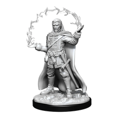 D&D NOLZUR'S MARVELOUS MINIATURES: MALE HUMAN WIZARD | Gamers Paradise