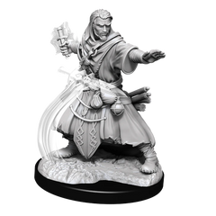 D&D NOLZUR'S MARVELOUS MINIATURES: MALE HUMAN WIZARD | Gamers Paradise