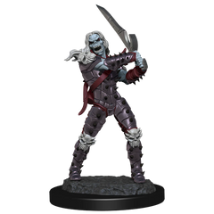 D&D NOLZUR'S MARVELOUS MINIATURES: WIGHT & GHAST | Gamers Paradise