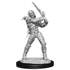 D&D NOLZUR'S MARVELOUS MINIATURES: WIGHT & GHAST | Gamers Paradise