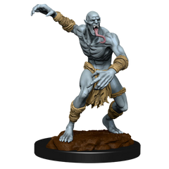 D&D NOLZUR'S MARVELOUS MINIATURES: WIGHT & GHAST | Gamers Paradise