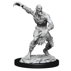 D&D NOLZUR'S MARVELOUS MINIATURES: WIGHT & GHAST | Gamers Paradise