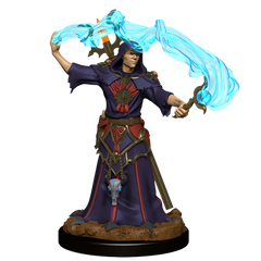 PATHFINDER BATTLES DEEP CUTS - MALE HUMAN SORCERER | Gamers Paradise