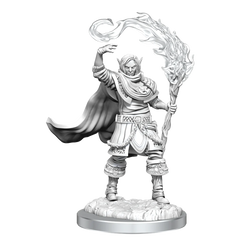 D&D NOLZUR'S MARVELOUS MINIATURES: ELF CLERIC MALE | Gamers Paradise