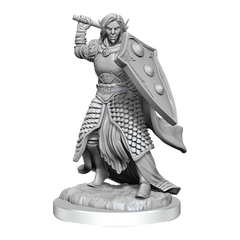 D&D NOLZUR'S MARVELOUS MINIATURES: ELF CLERIC MALE | Gamers Paradise