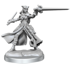 D&D FRAMEWORKS: TIEFLING ROGUE FEMALE - UNPAINTED AND UNASSEMBLED | Gamers Paradise