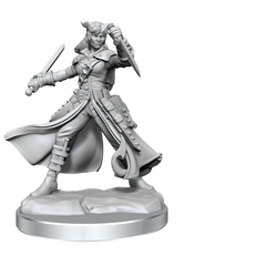 D&D FRAMEWORKS: TIEFLING ROGUE FEMALE - UNPAINTED AND UNASSEMBLED | Gamers Paradise