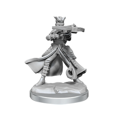 D&D FRAMEWORKS: TIEFLING ROGUE FEMALE - UNPAINTED AND UNASSEMBLED | Gamers Paradise