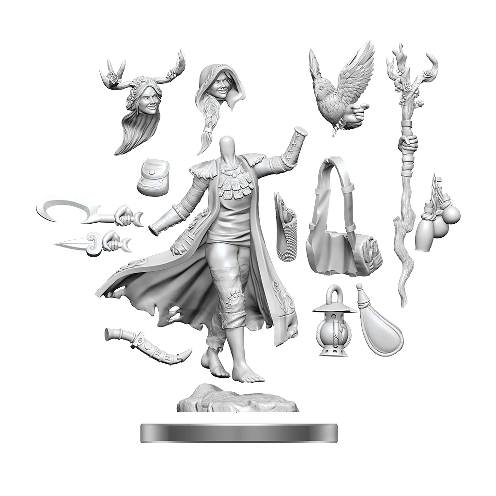 D&D FRAMEWORKS: HUMAN DRUID FEMALE - UNPAINTED AND UNASSEMBLED | Gamers Paradise