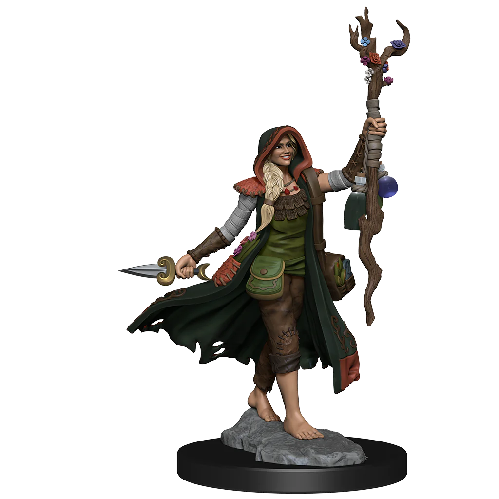 D&D FRAMEWORKS: HUMAN DRUID FEMALE - UNPAINTED AND UNASSEMBLED | Gamers Paradise