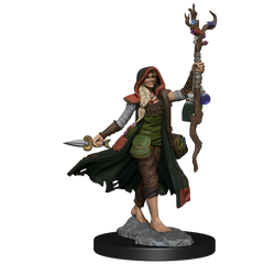 D&D FRAMEWORKS: HUMAN DRUID FEMALE - UNPAINTED AND UNASSEMBLED | Gamers Paradise