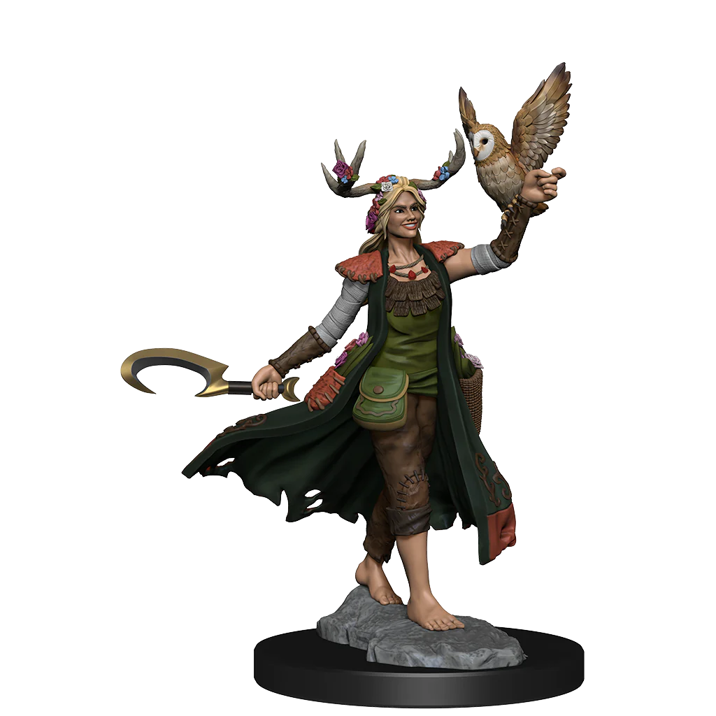 D&D FRAMEWORKS: HUMAN DRUID FEMALE - UNPAINTED AND UNASSEMBLED | Gamers Paradise