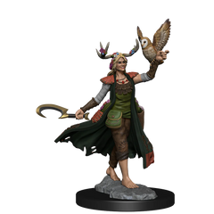 D&D FRAMEWORKS: HUMAN DRUID FEMALE - UNPAINTED AND UNASSEMBLED | Gamers Paradise