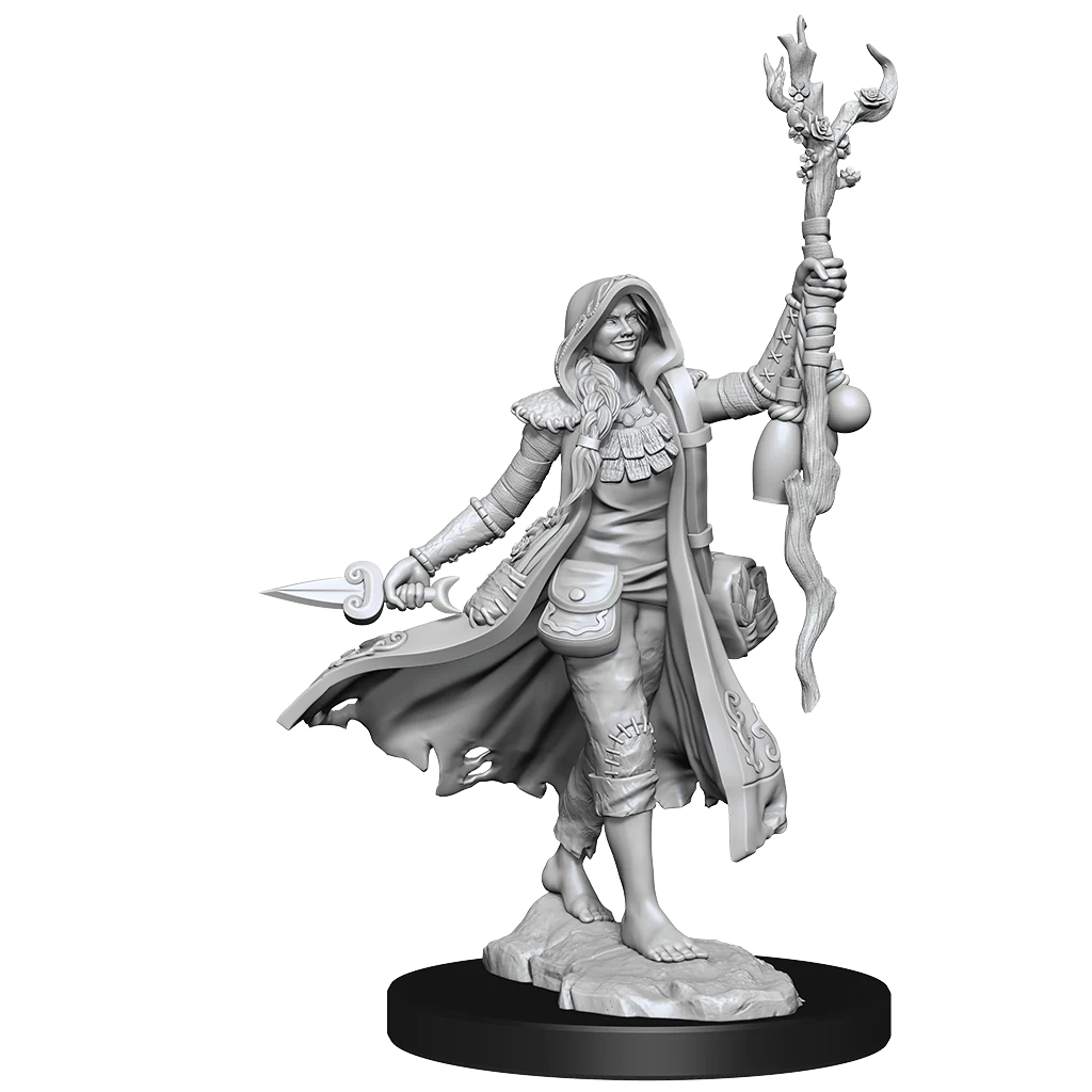 D&D FRAMEWORKS: HUMAN DRUID FEMALE - UNPAINTED AND UNASSEMBLED | Gamers Paradise