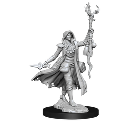 D&D FRAMEWORKS: HUMAN DRUID FEMALE - UNPAINTED AND UNASSEMBLED | Gamers Paradise