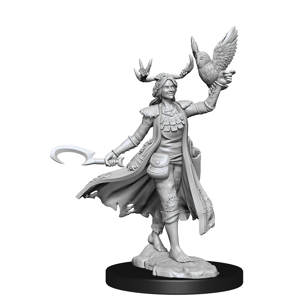 D&D FRAMEWORKS: HUMAN DRUID FEMALE - UNPAINTED AND UNASSEMBLED | Gamers Paradise