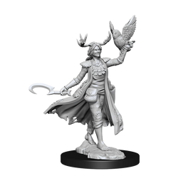 D&D FRAMEWORKS: HUMAN DRUID FEMALE - UNPAINTED AND UNASSEMBLED | Gamers Paradise