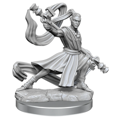 D&D FRAMEWORKS: ELF MONK MALE - UNPAINTED AND UNASSEMBLED | Gamers Paradise