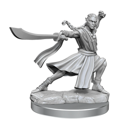 D&D FRAMEWORKS: ELF MONK MALE - UNPAINTED AND UNASSEMBLED | Gamers Paradise