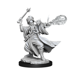D&D FRAMEWORKS: HUMAN WIZARD MALE - UNPAINTED AND UNASSEMBLED | Gamers Paradise