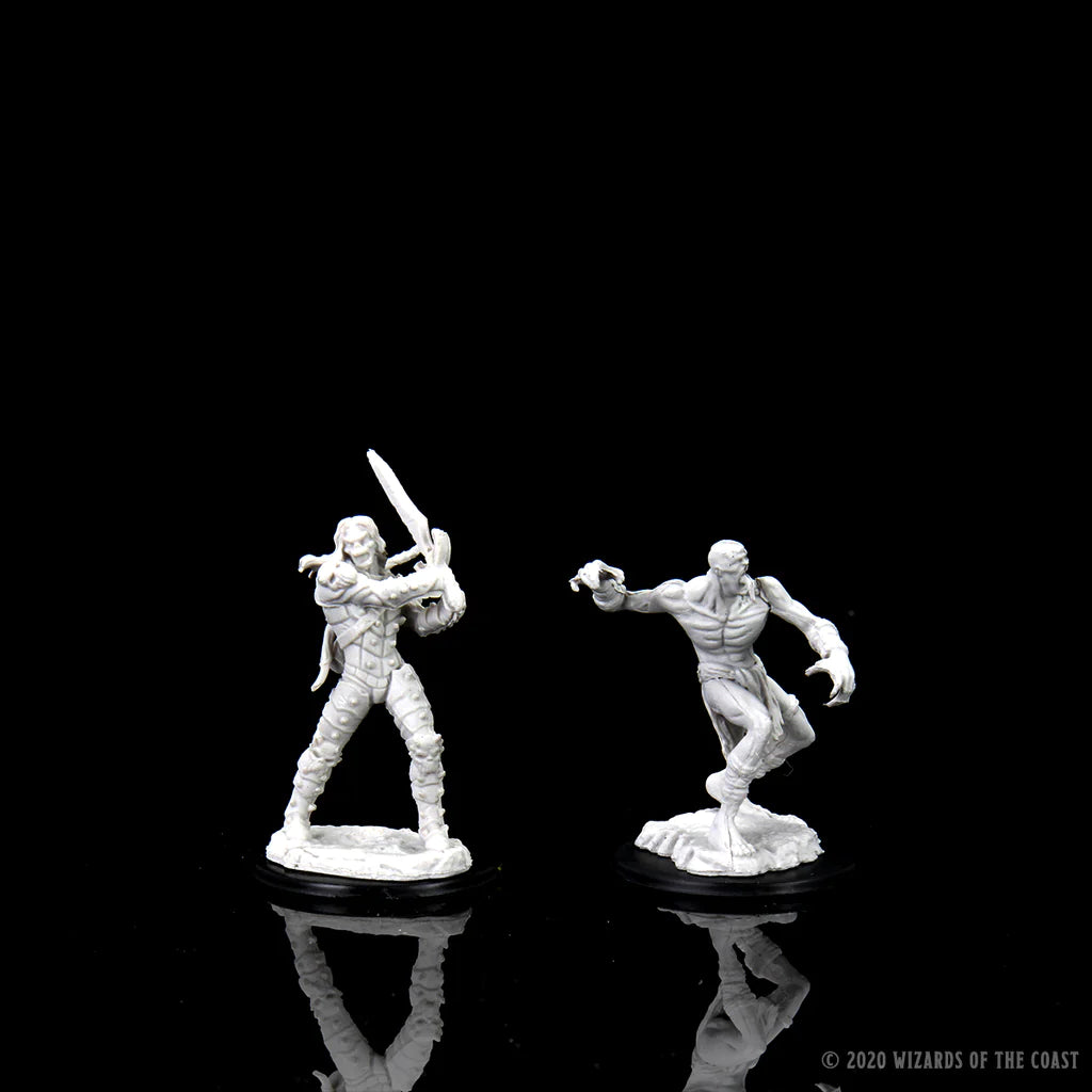 D&D NOLZUR'S MARVELOUS MINIATURES: WIGHT & GHAST | Gamers Paradise