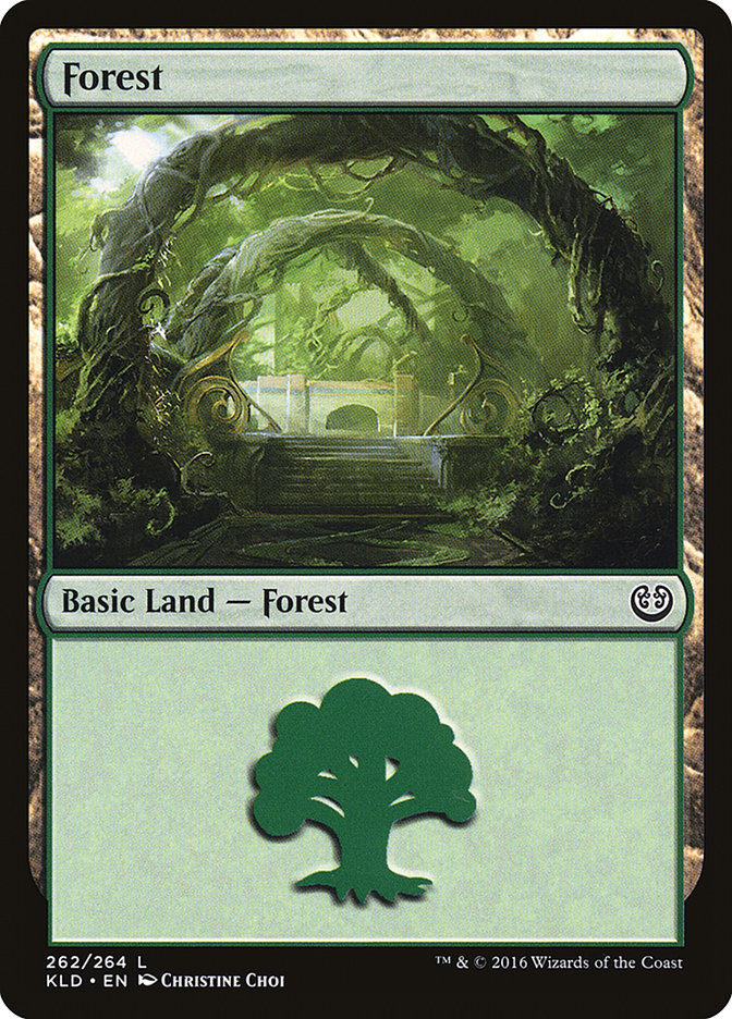 Forest (262) [Kaladesh] | Gamers Paradise