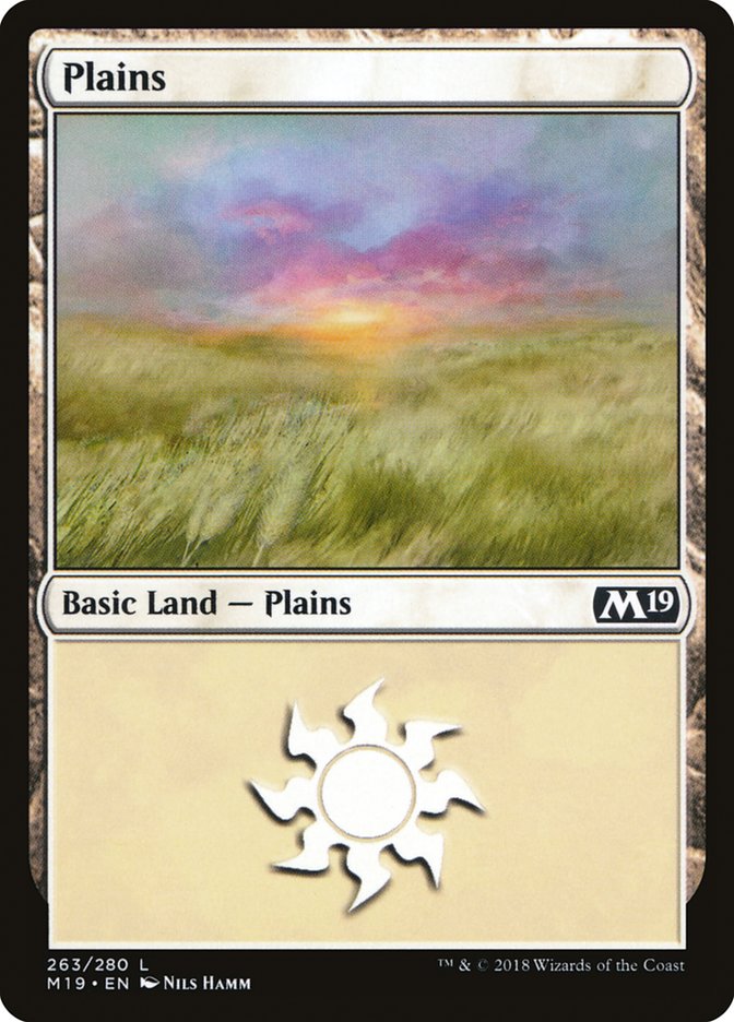 Plains (263) [Core Set 2019] | Gamers Paradise