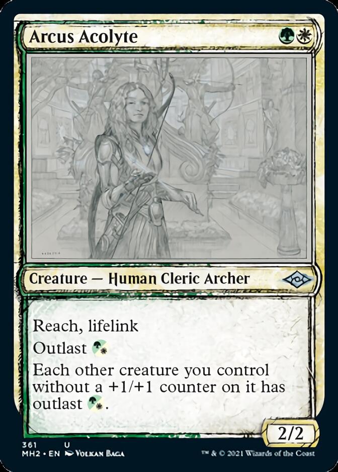 Arcus Acolyte (Sketch) [Modern Horizons 2] | Gamers Paradise