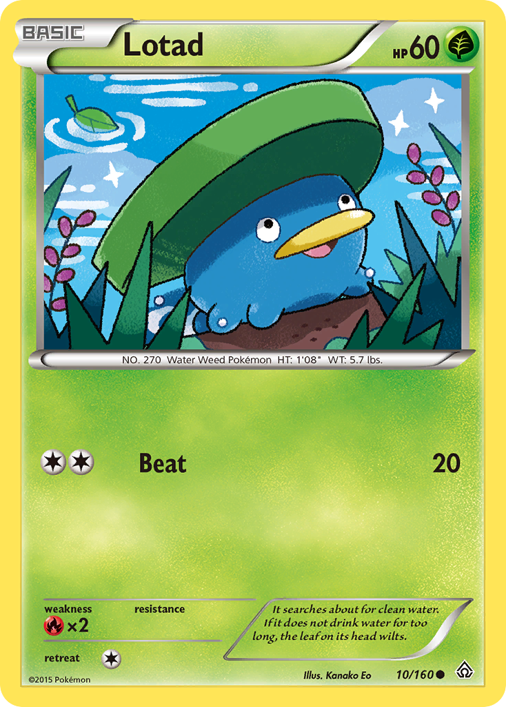 Lotad (10/160) [XY: Primal Clash] | Gamers Paradise